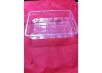 Food Blister Tray