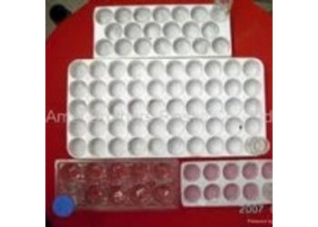 plastic blister trays